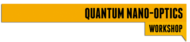 Quantum nano-optics workshops